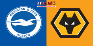 brighton vs wolves